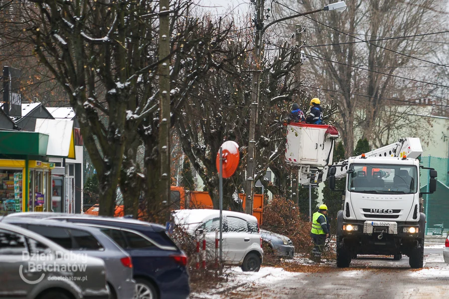 Utrudnienia na bełchatowskiej ulicy. Gałęzie wrosły w linię energetyczną - Zdjęcie główne