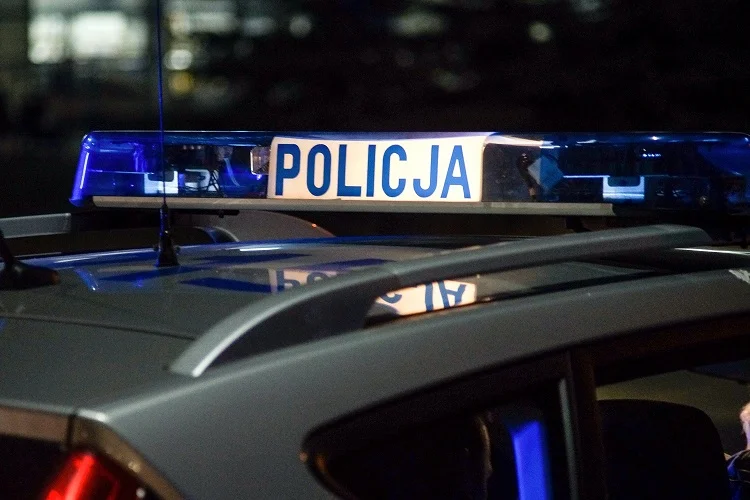 Zobaczył kobietę wypychającą auto z rowu i ruszył z pomocą. Musiała interweniować policja... - Zdjęcie główne