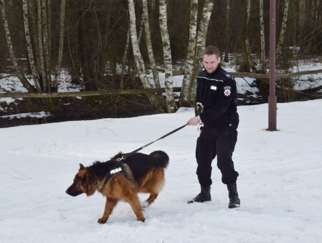 Nocne poszukiwania zaginionej staruszki z okolic Kleszczowa - Zdjęcie główne