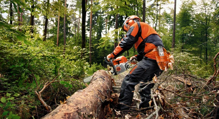 Ranking: Pilarka spalinowa STIHL do użytku domowego - Zdjęcie główne