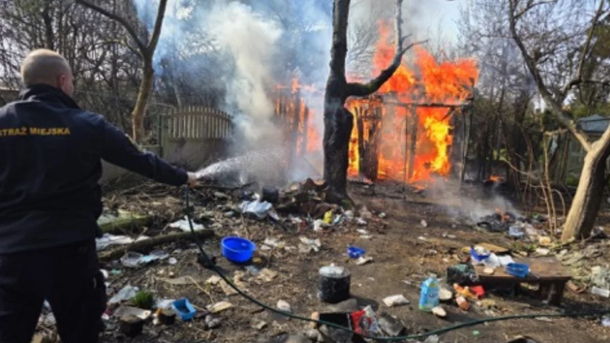 Pożar przy bełchatowskim targowisku. Przypadek, czy zemsta za długi [FOTO]