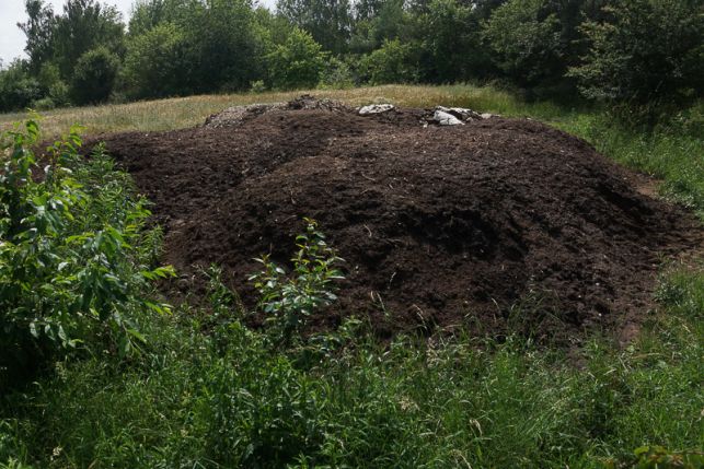 Zagadka góry śmierdzących odpadów rozwiązana. Czy odstraszający odór zniknie? - Zdjęcie główne