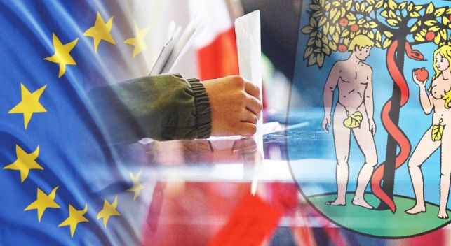 Eurowybory 2019. Jak głosował Bełchatów? - Zdjęcie główne