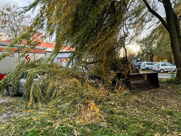 Skutki silnej wichury w Bełchatowie i powiecie. 21.10.2021