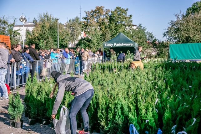 Zbieraj makulaturę, bo się opłaca [FOTO] - Zdjęcie główne