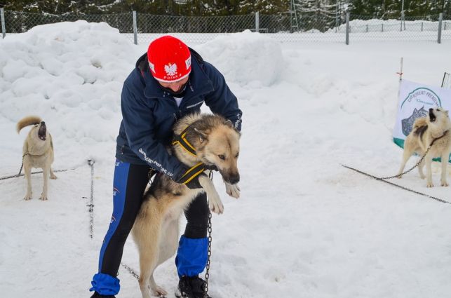 Trudne początki zimowego sezonu Waldemara Stawowczyka [FOTO] - Zdjęcie główne