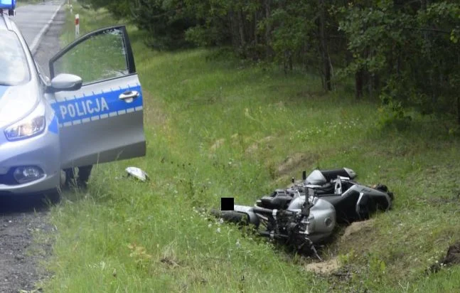 Mężczyzna zderzył się z sarną. Groźnie wyglądający wypadek w gminie Szczerców [FOTO]  - Zdjęcie główne