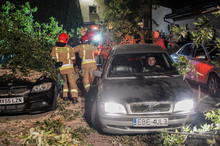 Złamane drzewo spadło na auta. Strażacy na osiedlu Wolność [FOTO] - Zdjęcie główne