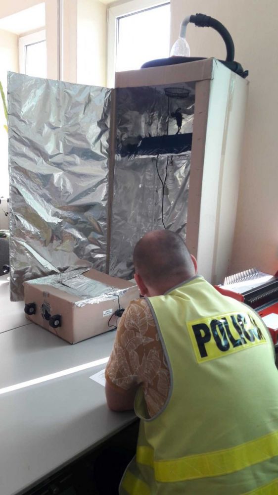 15-latek z Bełchatowa uprawiał w szafię marihuanę. Na policję doniosła jego własna matka - Zdjęcie główne