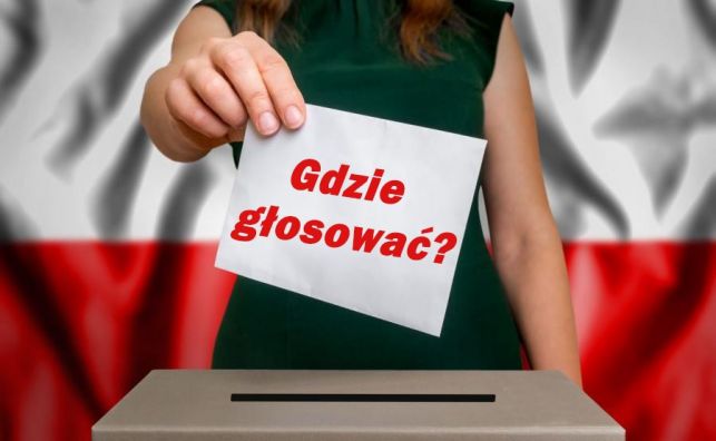 Gdzie głosować? Znajdź swój lokal wyborczy! - Zdjęcie główne