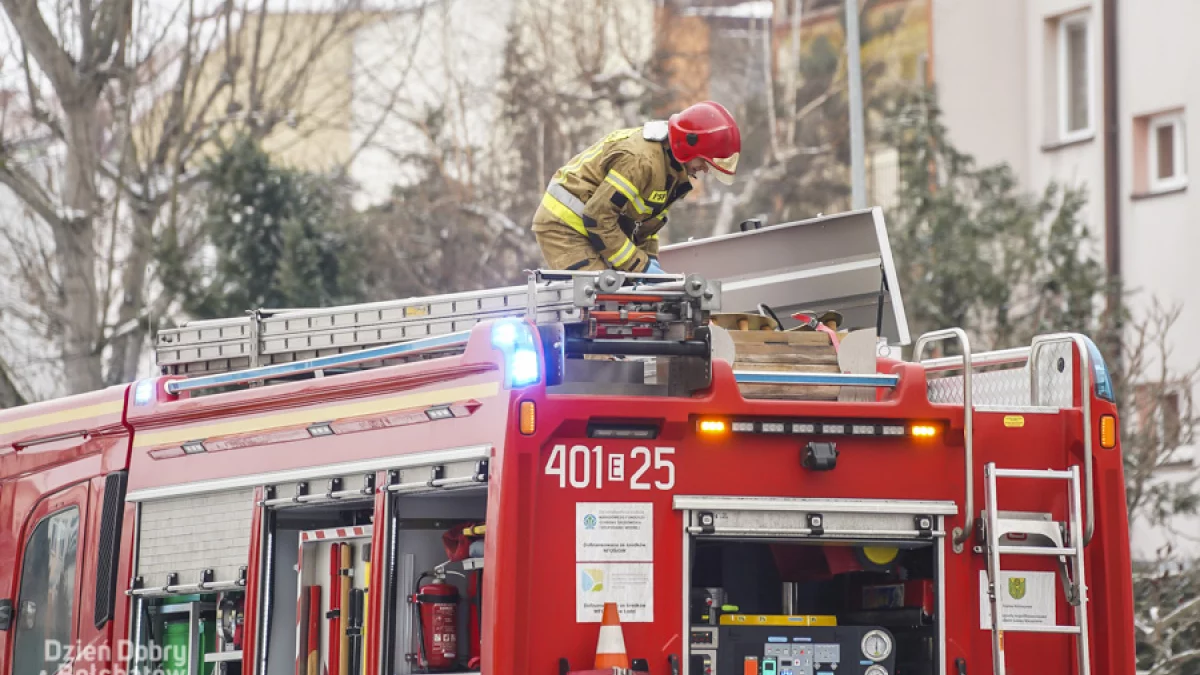 Wszystkie służby na Przytorzu. Co stało się w jednym z bloków?