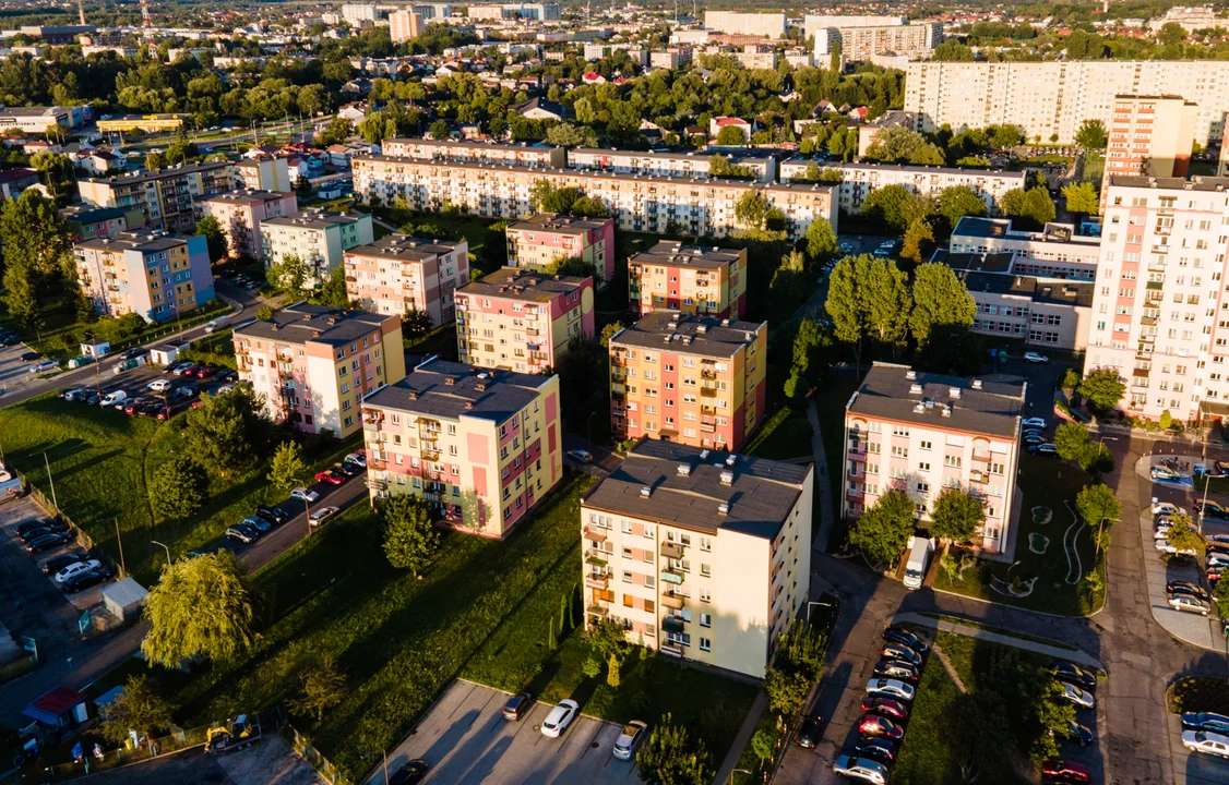 "Osiedlowy trener senioralny", nowa tężnia i parkingi. Na co bełchatowianie chcą wydać milion złotych? - Zdjęcie główne