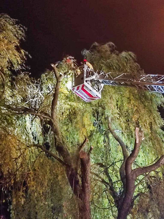 Skutki silnej wichury w Bełchatowie i powiecie. 21.10.2021