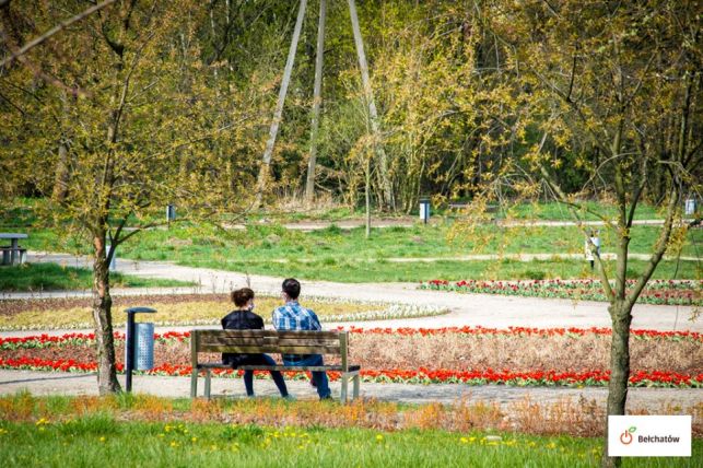 Miasto zbudowało plażę... nad Rakówką. Zobacz, jak wyglądają nowe miejsca do wypoczynku w Bełchatowie [FOTO] - Zdjęcie główne