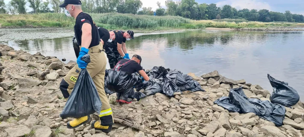 Trwa walka o Odrę. Wyniki badań laboratoryjnych, nowe alerty i milionowa nagroda za wskazanie sprawcy ogromnego zatrucia [RAPORT] - Zdjęcie główne