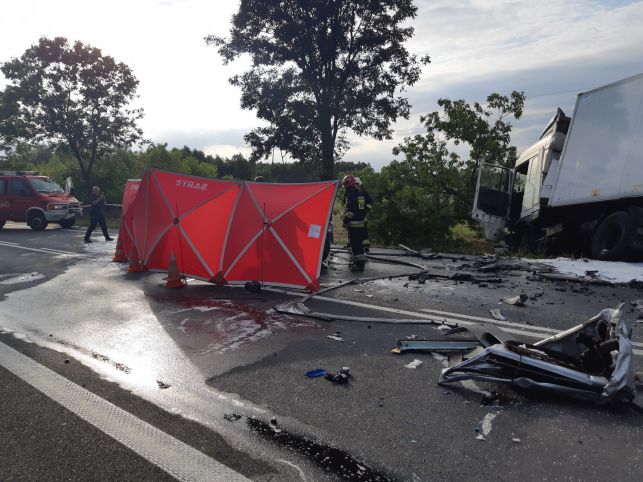 Tragiczny wypadek w Osjakowie. Samochód spłonął, kierowca nie żyje [FOTO] - Zdjęcie główne