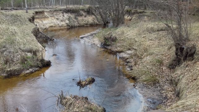 Złapali śmieciarza. Musiał posprzątać nad rzeką obok Zbyszka - Zdjęcie główne