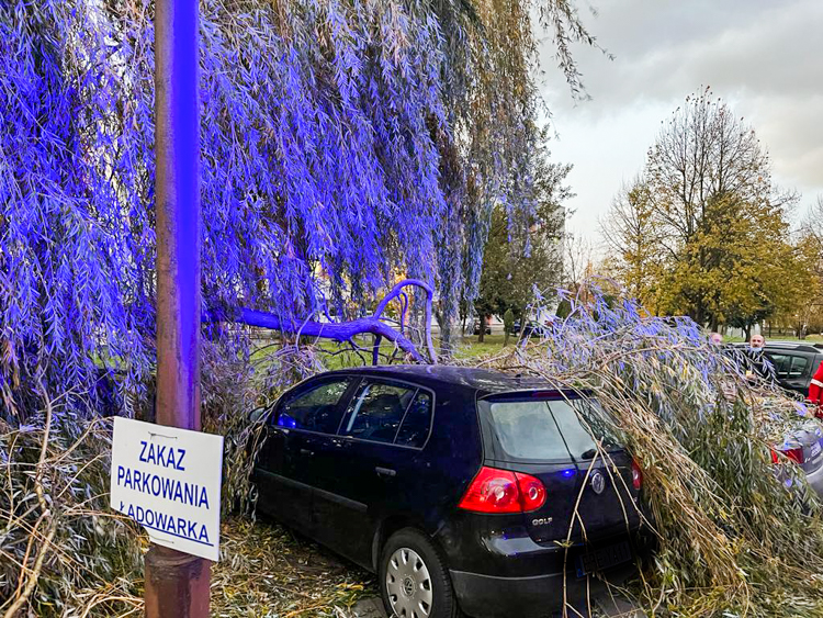 Skutki silnej wichury w Bełchatowie i powiecie. 21.10.2021