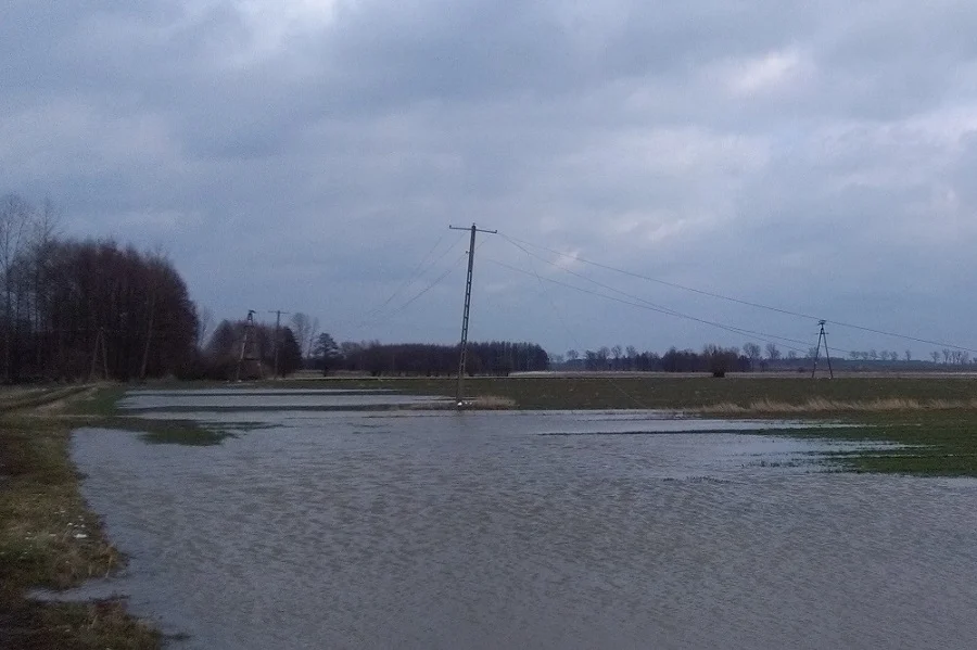 PGE usuwa awarie po wichurach i burzy. Tysiące osób bez prądu - Zdjęcie główne