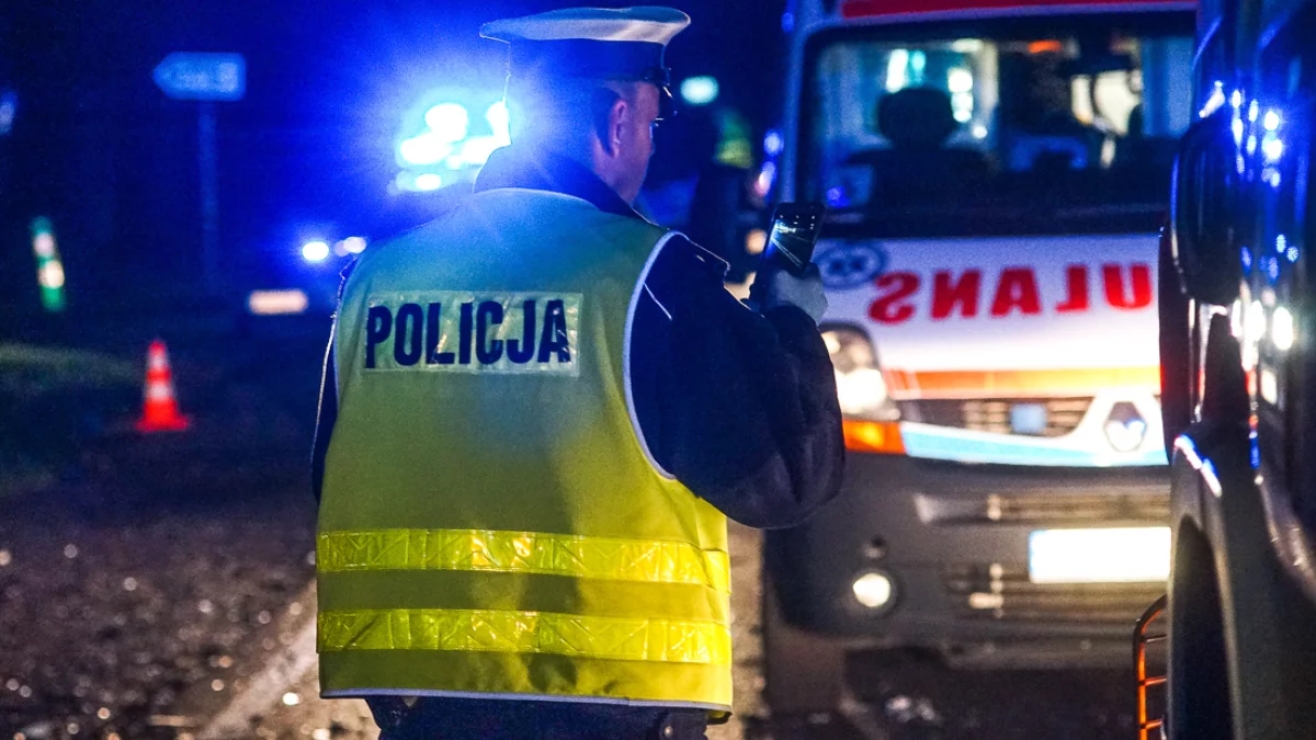 Tragedia w regionie. Kierowca BMW potrącił policjanta. Kilka godzin później już nie żył - Zdjęcie główne