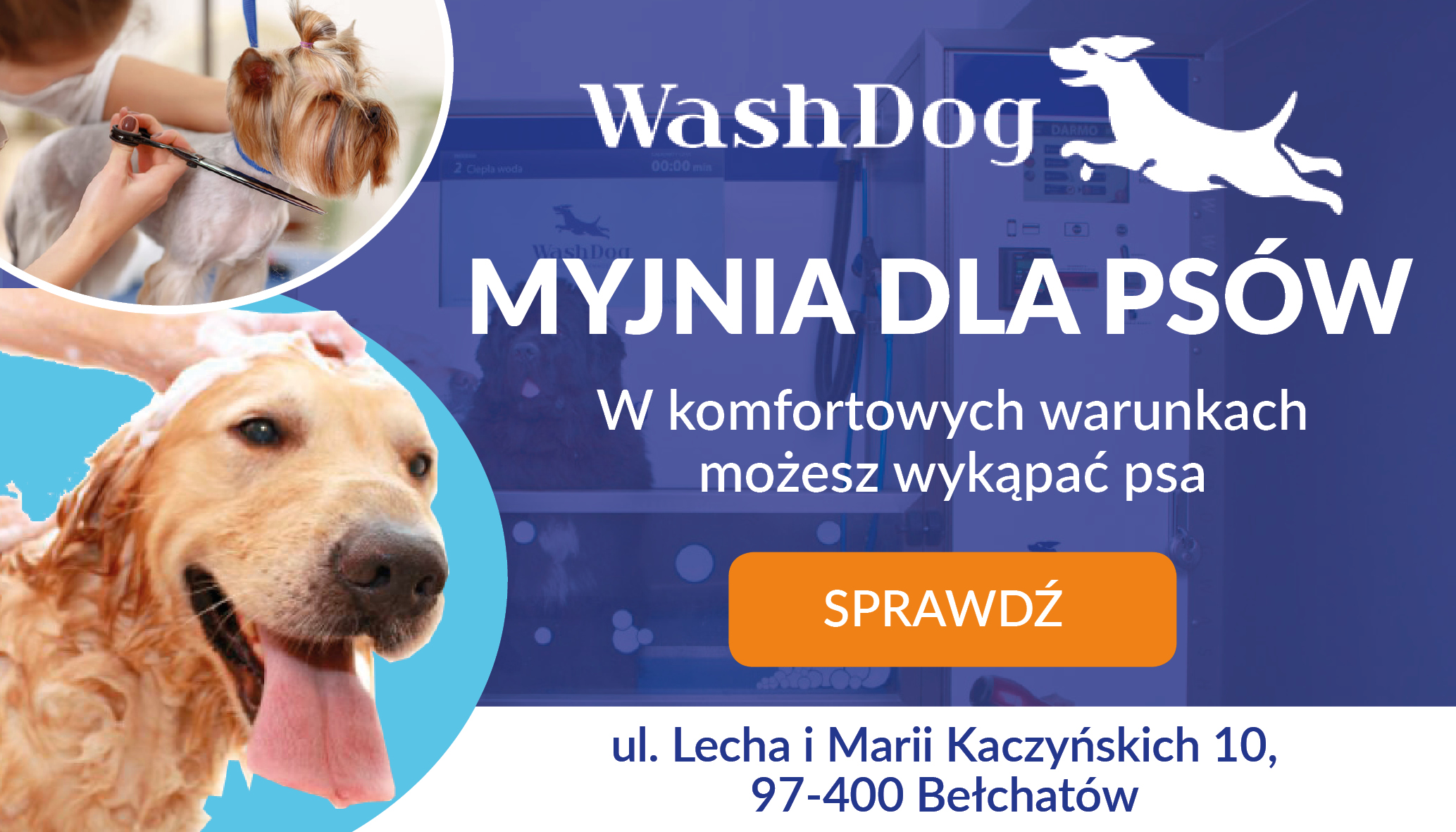 Salon Wash Dog Bełchatów, czyli komfort dla Twojego psa! - Zdjęcie główne