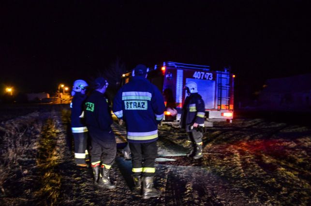 Kolejne pożary w tym samym miejscu. Policja szuka podpalaczy - Zdjęcie główne