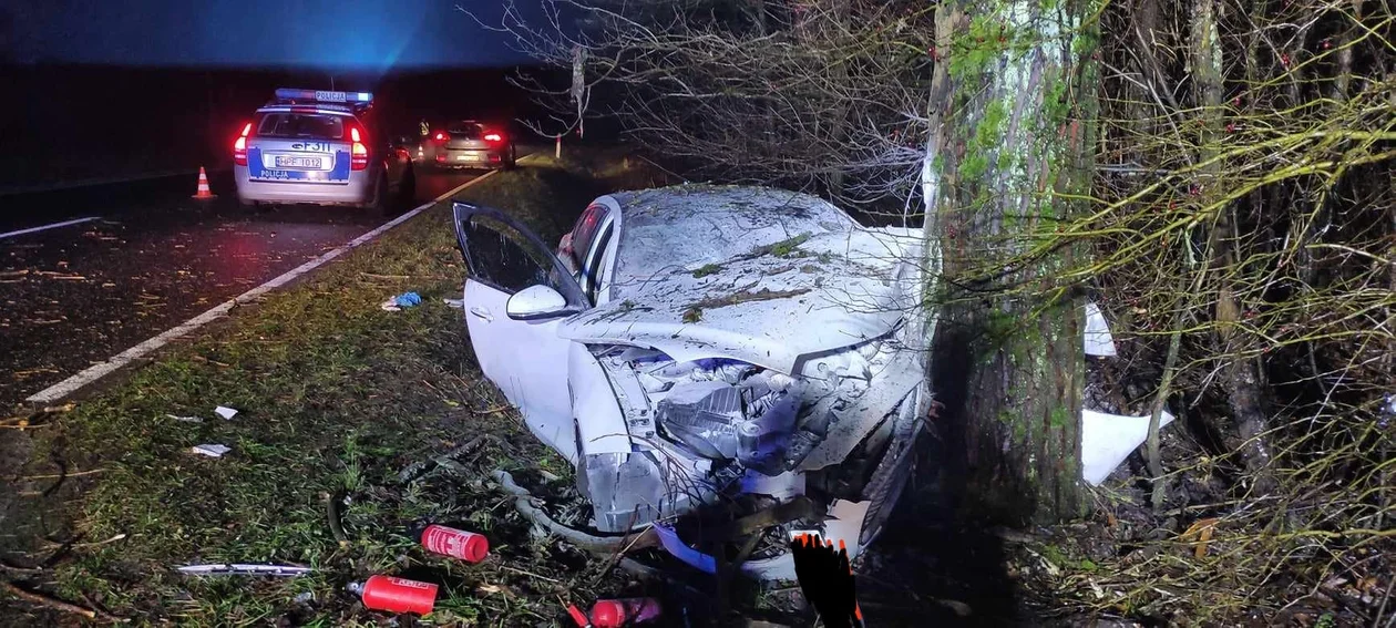 Rozbił jaguara na przydrożnym drzewie. Na miejscu pogotowie, policja i straż - Zdjęcie główne