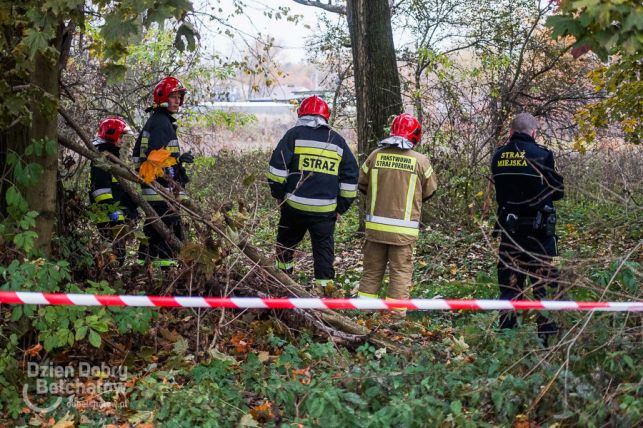 Zwłoki kobiety wyłowione z Rakówki. Prokurator zdradza, co było przyczyną śmierci  - Zdjęcie główne