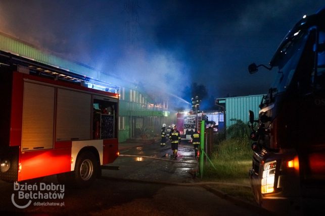 Pożar w Rogowcu. Kilkanaście jednostek straży pożarnej w akcji [FOTO][VIDEO] - Zdjęcie główne