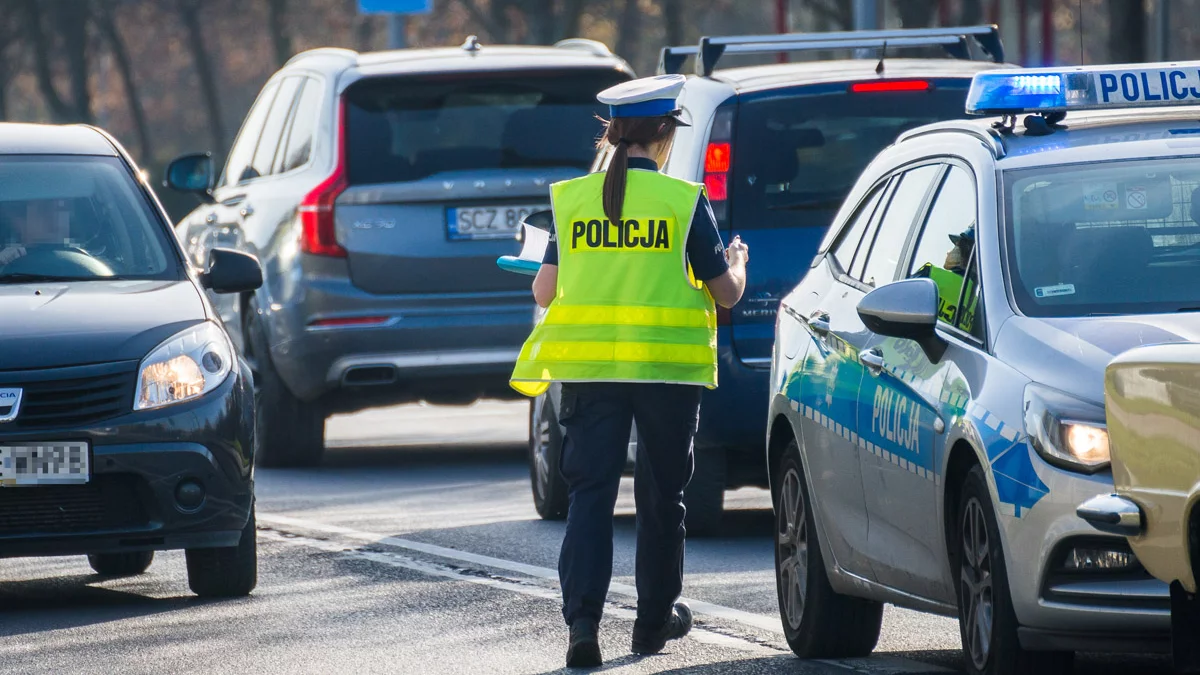 Polskie przepisy będą bezwzględna jak na Węgrzech i w Rumunii ? Nowa inicjatywa nabiera tempa - Zdjęcie główne