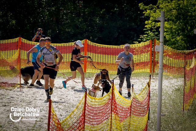 Ekstremalnie na Górze Kamieńsk. Setki czworonogów i ich właścicieli walczyło w Hard Dog Race  [MEGA GALERIA] - Zdjęcie główne