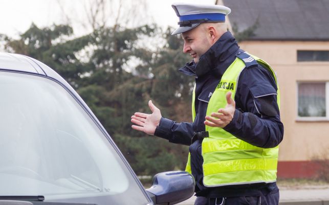 Prawo jazdy mogło stracić nawet 40 tysięcy kierowców, ale... na chwilę mogą odetchnąć - Zdjęcie główne