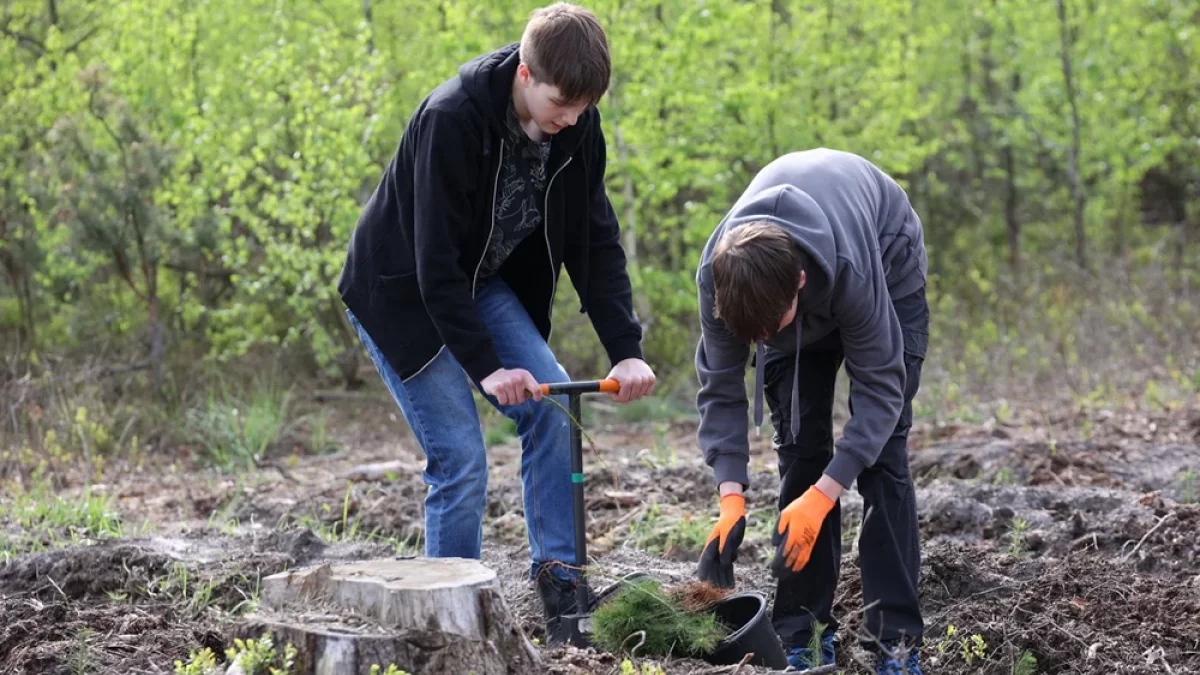 PGE GiEK przywraca naturze tereny pokopalniane - Zdjęcie główne