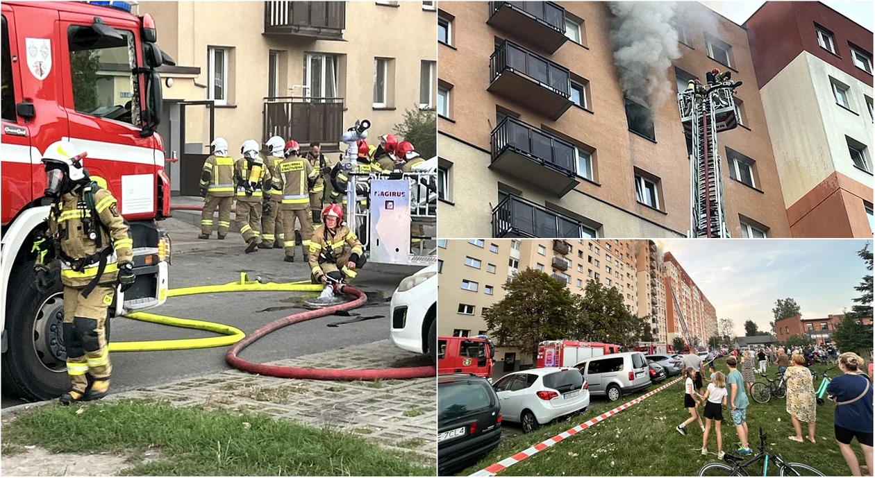 Ogień, kłęby dymu i przerażeni mieszkańcy. Pożar w wieżowcu oczami strażaków - Zdjęcie główne