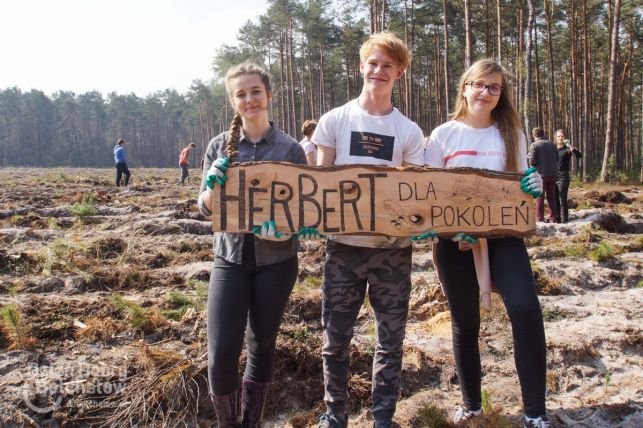 Uczniowie "Herberta" posadzili tysiące sosen [FOTO][VIDEO] - Zdjęcie główne