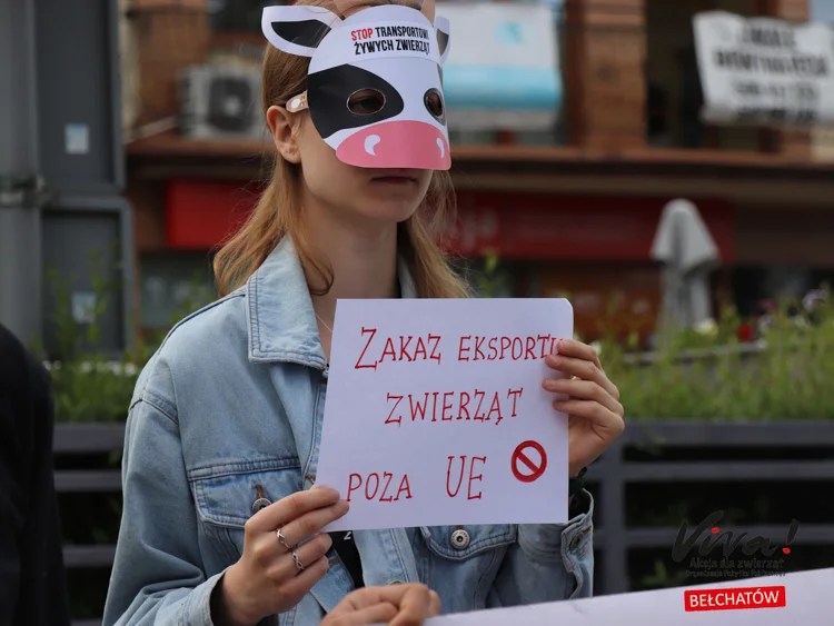 Obrońcy praw zwierząt na placu Narutowicza. Dlaczego protestowali? [FOTO] - Zdjęcie główne