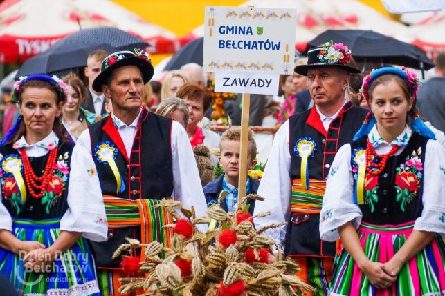 Zapadła decyzja w sprawie tegorocznych dożynek w gminie Bełchatów - Zdjęcie główne