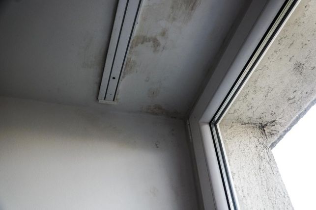 Ziąb i wszechobecny grzyb. Lokatorzy ''Setki'' narzekają na warunki mieszkaniowe. Co na to władze miasta? [FOTO] - Zdjęcie główne