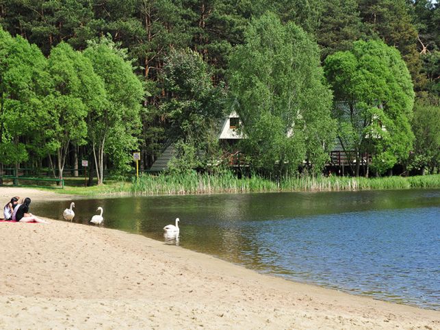 Pojawiła się szansa dla Wawrzkowizny. Dawny kopalniany ośrodek dostanie ''drugie życie''?  - Zdjęcie główne