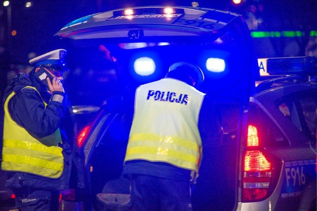 Ktoś ukradł wielkanocnego zająca! Policja na tropie złodzieja z Gomunic - Zdjęcie główne