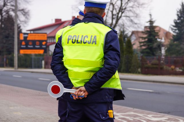 Nie tylko piesi, ale też kierowcy zostali w domach. Policja pokazała ciekawą statystykę... - Zdjęcie główne