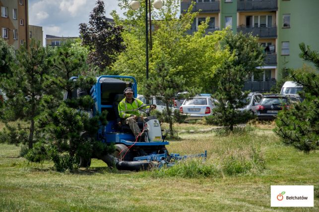 Co dalej z zarośniętymi parkami i trawnikami w Bełchatowie? Pojawił się pewien problem... - Zdjęcie główne