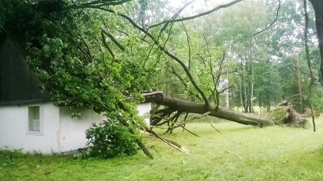 Nawałnica pod Bełchatowem. Uwaga podróżujący w stronę Pabianic – utrudnienia na drodze! - Zdjęcie główne