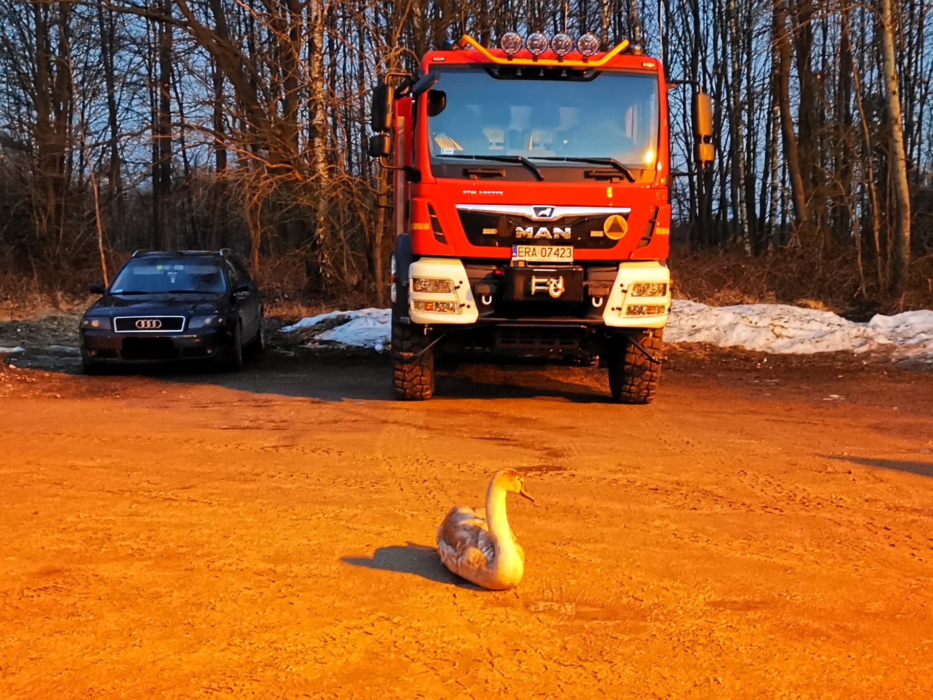 Strażacy na górze Kamieńsk. Wezwano ich na nietypową interwencję  - Zdjęcie główne