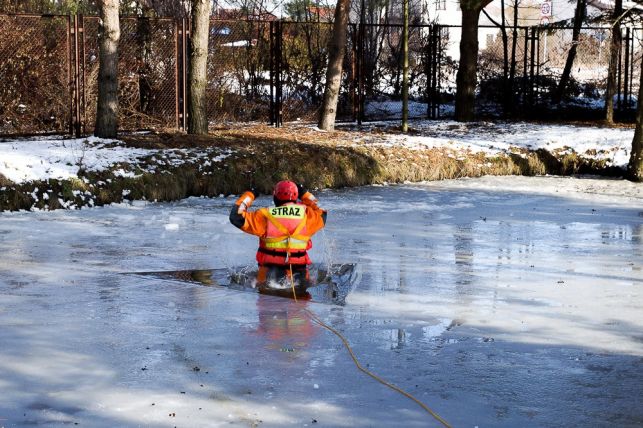Poradnik na "Bezpieczne ferie". Warto znać te zasady! [VIDEO] [FOTO] - Zdjęcie główne