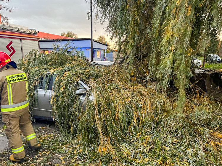 Skutki silnej wichury w Bełchatowie i powiecie. 21.10.2021