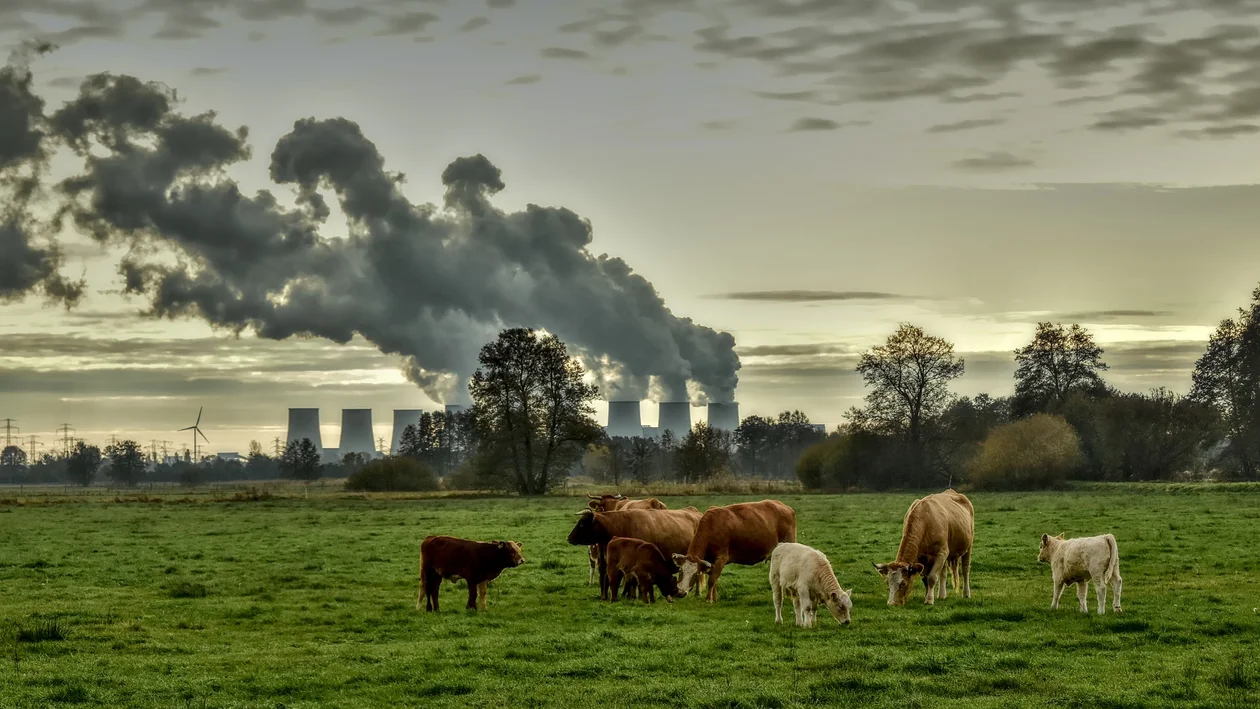 Jak możesz włączyć się w walkę ze zmianami klimatu? - Zdjęcie główne