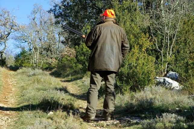 Polowania w podbełchatowskich lasach. Gdzie i kiedy możesz natknąć się na myśliwych? - Zdjęcie główne