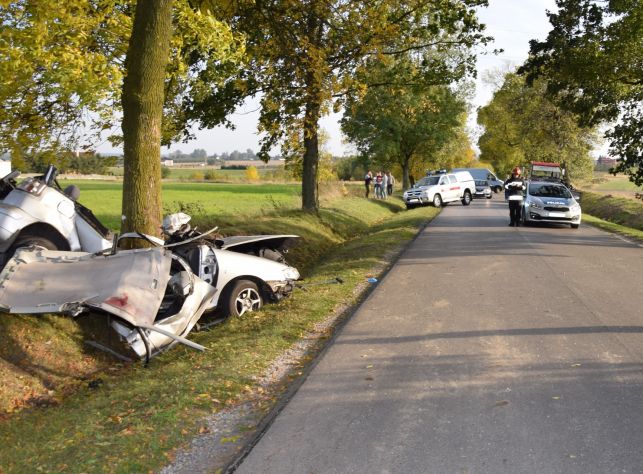 Śmiertelny wypadek w Wiewiórowie - Zdjęcie główne