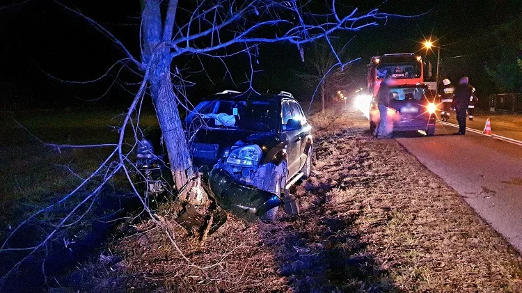 Groźny wypadek w Łobudzicach. Osobówka rozbiła się na drzewie [FOTO] - Zdjęcie główne